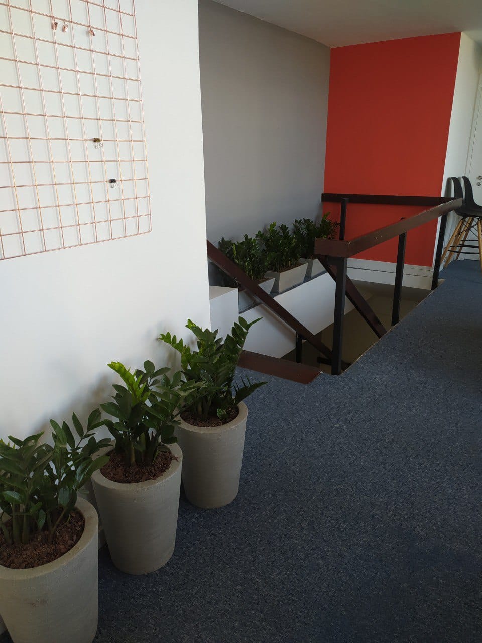  Pintura e decoração de ambientes por arquitetos.